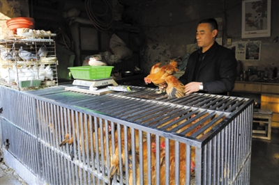 南京另一家農(nóng)貿(mào)市場(chǎng)內(nèi)待售的活雞。因南京出現(xiàn)H7N9禽流病例，買活雞的顧客減少。