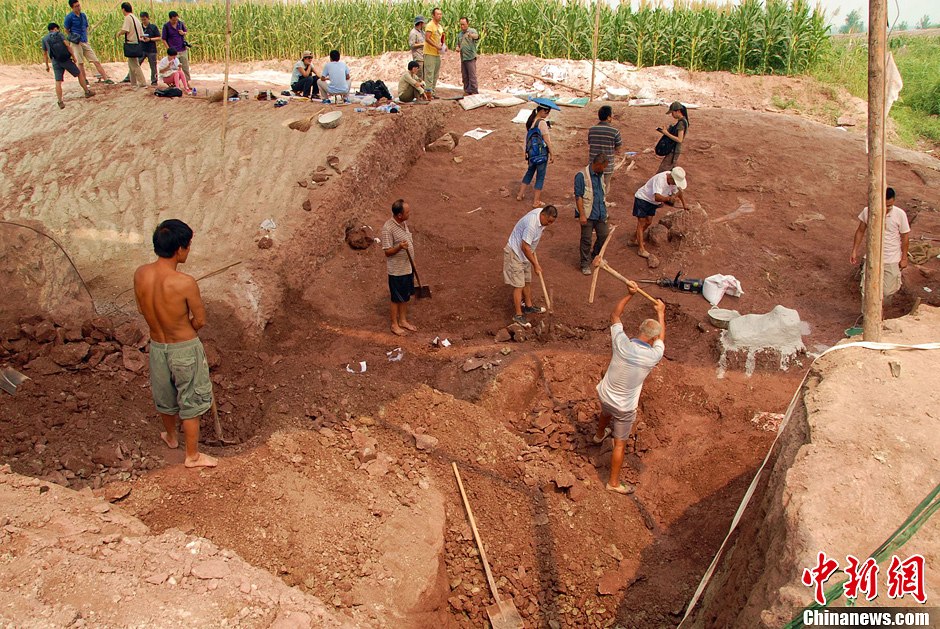 恐龍化石發(fā)掘現(xiàn)場。