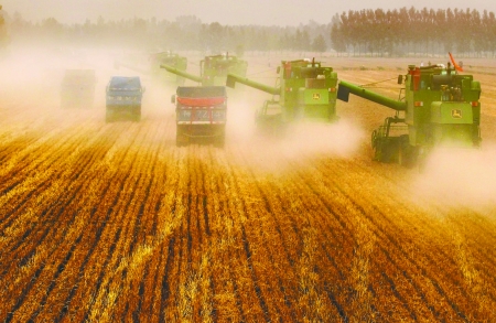 田里，一臺臺收割機唱著豐收歌。