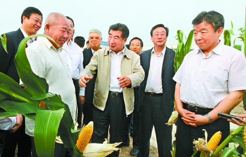 圖為回良玉在鄧州市腰店鄉(xiāng)草寺村視察萬畝玉米高產示范方。