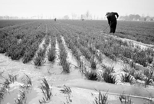 3月25日，濮陽縣郎中鄉(xiāng)大趙寨村農(nóng)民在為小麥澆水。連日來，濮陽縣廣大農(nóng)民不誤農(nóng)時，及時為麥田施肥、澆