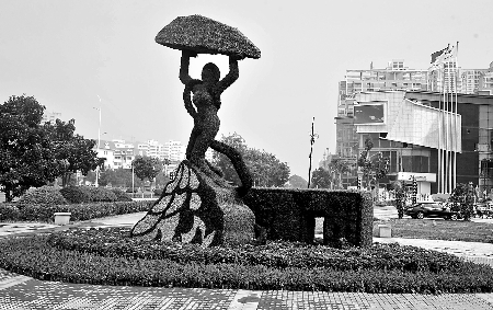 8月28日，南陽(yáng)街頭繁花似錦，市民宛若行走在花海之中。