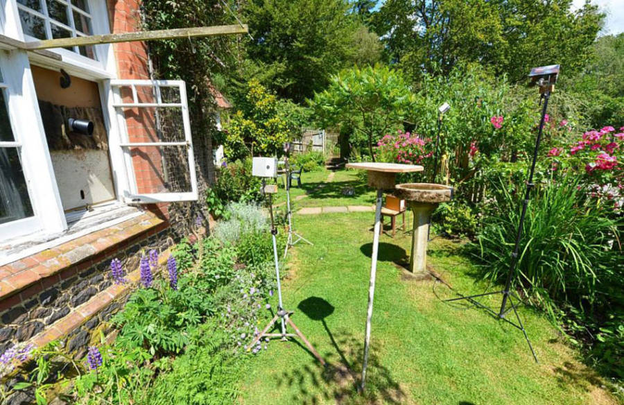 老人自制相機(jī)拍小鳥“梳洗”照 老人自制相機(jī)拍小鳥“梳洗”照