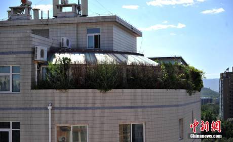 北京一大廈樓頂建“空中花園” 北京一大廈樓頂建“空中花園”
