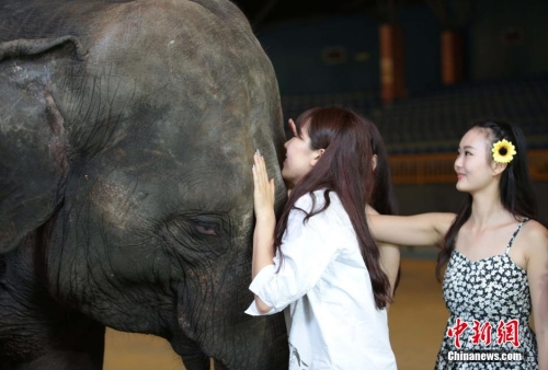 學(xué)生參加?；ㄐ２荽筚?穿比基尼秀身材