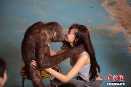 學(xué)生參加?；ㄐ２荽筚?穿比基尼秀身材