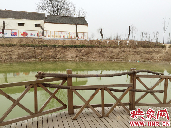 護欄損毀的地方，已經被兩根樹干擋住。