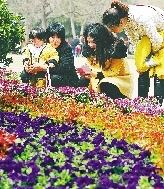 近距離才能拍得更真切。