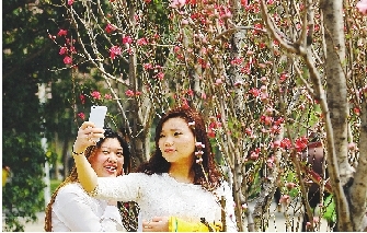 市民在公園與花合影。