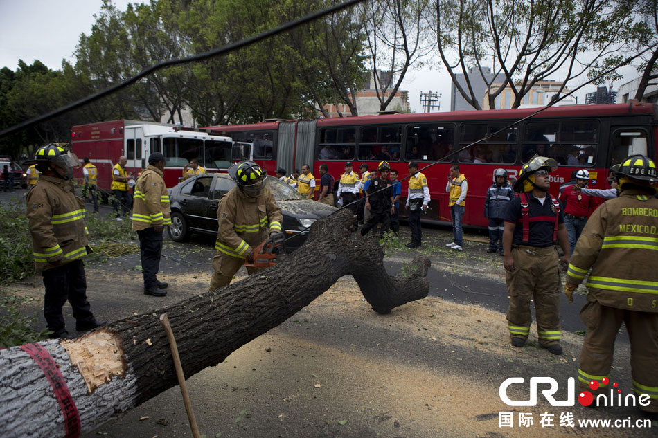 　當(dāng)?shù)貢r(shí)間2014年5月8日，墨西哥墨西哥城，消防人員正在切割一棵倒下的樹。　