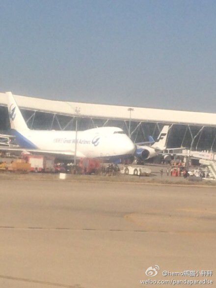 圖說(shuō)：發(fā)生事故的飛機(jī)。圖片來(lái)源：新浪微博網(wǎng)友圖（請(qǐng)私信“新民晚報(bào)新民網(wǎng)”以奉稿酬）