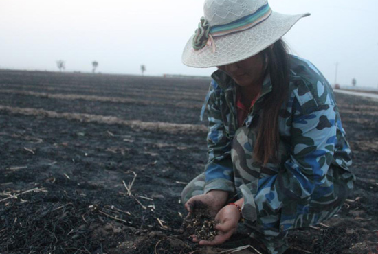村民們眼巴巴看著豐收的小麥“葬身”火海，心疼不已。