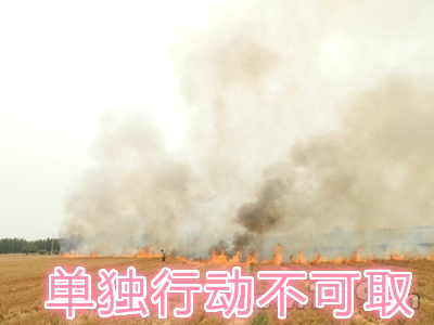 不要單獨(dú)一個人亂沖亂打：單獨(dú)行動被煙氣沖昏倒地，無人發(fā)覺被燒；