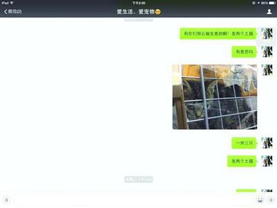 買家發(fā)現(xiàn)上當受騙，賣家叫囂“報警也沒用”。