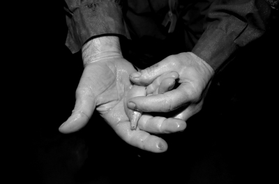 圖為科考人員發(fā)現(xiàn)的洞穴動(dòng)物（3月2日攝）。