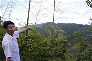 村民吳學(xué)田告訴記者，對面兩座山就是潘建友承包的部分山場 見習(xí)記者 邱一文 攝