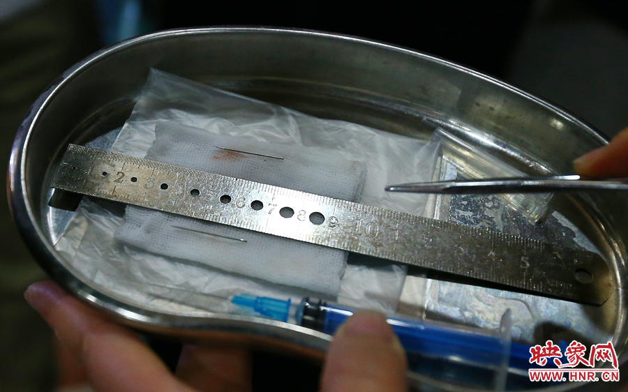 大龍顱內(nèi)取出的鋼針（上）和小龍顱內(nèi)的一樣（下），均為2.5厘米