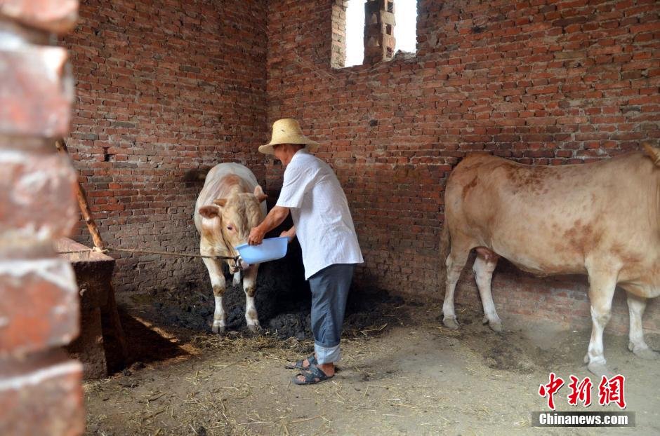 同時，地下水位的持續(xù)下降以及部分山泉水的干涸，已造成全縣2.85萬人和2000頭大牲畜出現(xiàn)飲水困難。