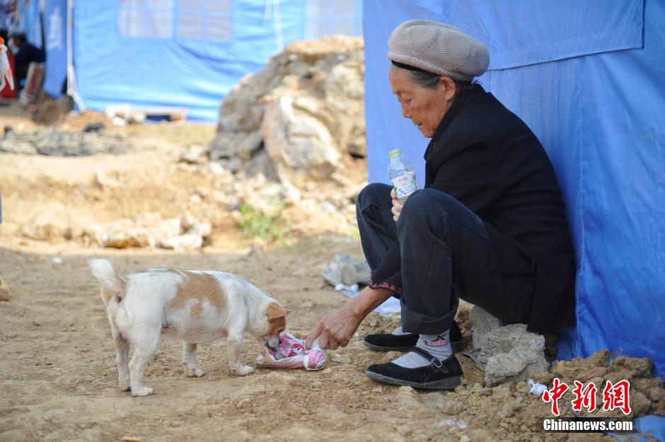 8月6日，一名老人將剛領(lǐng)到的礦泉水分給小狗。