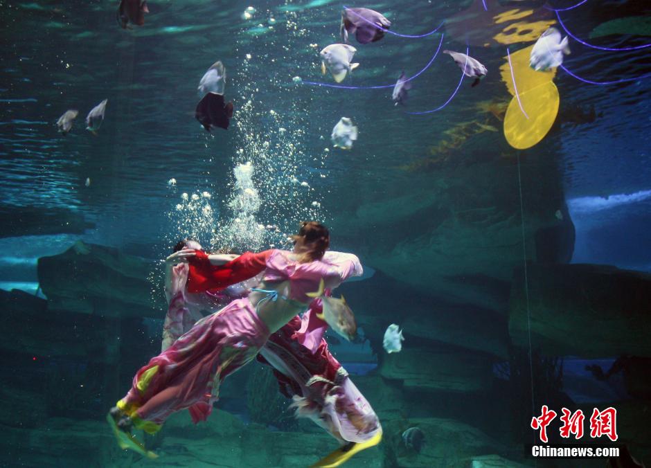 9月7日，在中秋節(jié)到來(lái)前一天，山東泉城海洋極地世界為游客帶來(lái)“嫦娥水中奔月”表演。