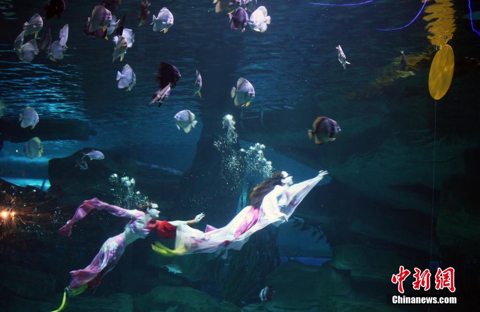 9月7日，在中秋節(jié)到來(lái)前一天，山東泉城海洋極地世界為游客帶來(lái)“嫦娥水中奔月”表演。