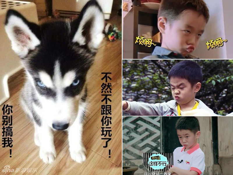 不小心就撞臉了！盤(pán)點(diǎn)動(dòng)物界的明星相