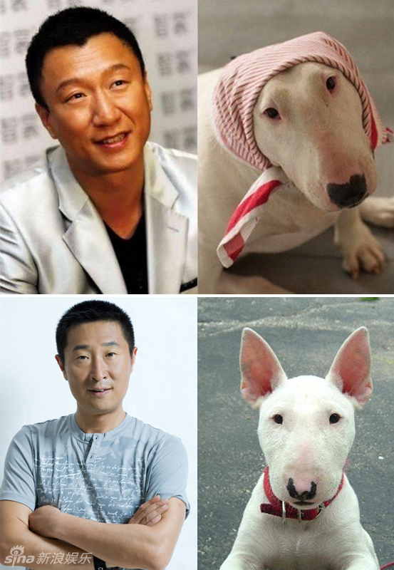 不小心就撞臉了！盤(pán)點(diǎn)動(dòng)物界的明星相