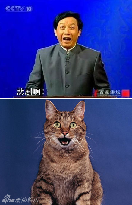 不小心就撞臉了！盤(pán)點(diǎn)動(dòng)物界的明星相