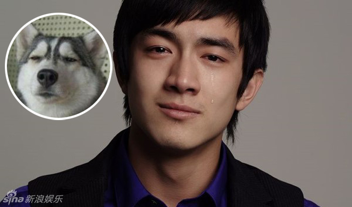 不小心就撞臉了！盤(pán)點(diǎn)動(dòng)物界的明星相