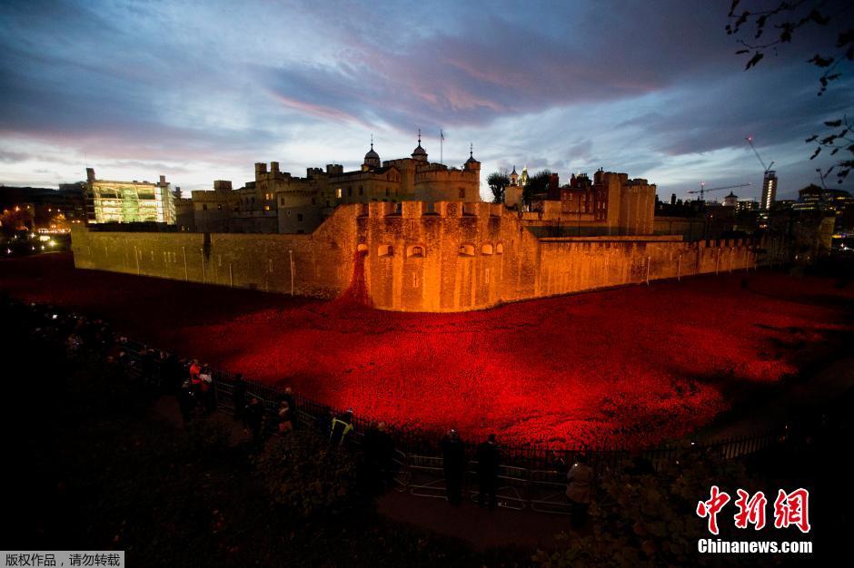 當地時間2014年11月10日，英國倫敦，倫敦塔周邊“種植”了888246朵陶瓷材質的罌粟花，以此紀
