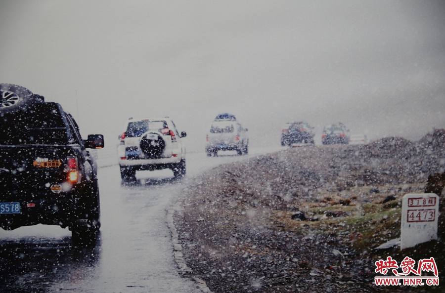 賽車的世界、更是男人的世界。圖為部分參展攝影作品。