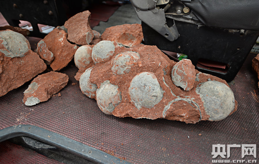 其中完整的19枚，都是直徑約13厘米的“大個(gè)子”。