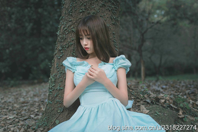 民航大學(xué)最美?；ㄋ秸掌毓? width=