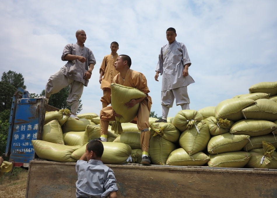 武僧將打包后的糧食集中至運(yùn)輸車輛上。