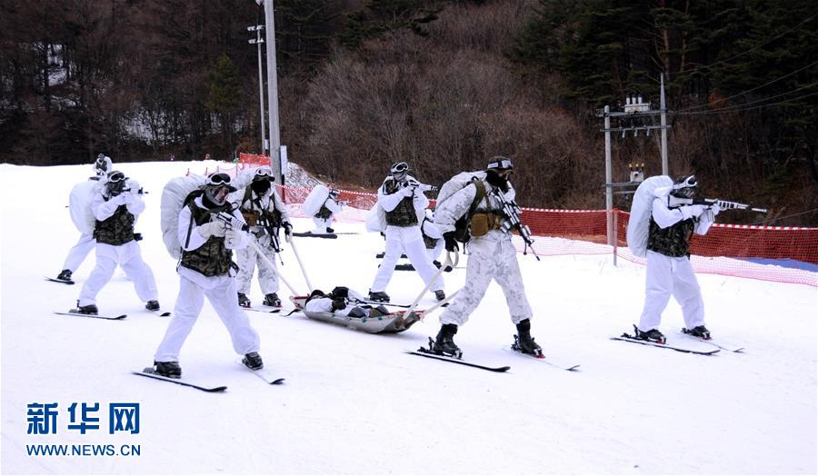 韓美舉行極寒雪地聯合訓練(高清組圖)