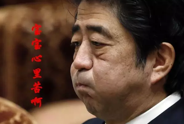 這種看安倍“熱鬧”的事兒，環(huán)環(huán)絕不私藏，一定雨露均沾!