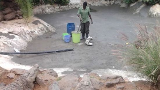 穆克的養(yǎng)殖場(chǎng)，鱷視眈眈下的工作人員。