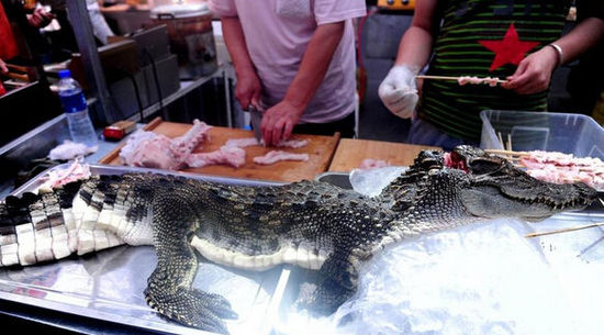 沈陽現(xiàn)“烤鱷魚肉”20元一串現(xiàn)烤現(xiàn)賣(圖)