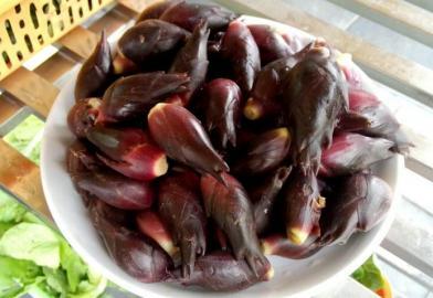 四川多個景區(qū)農家樂賣不明野菜 野芹毒芹分不清 四川多個景區(qū)農家樂賣不明野菜 野芹毒芹分不清