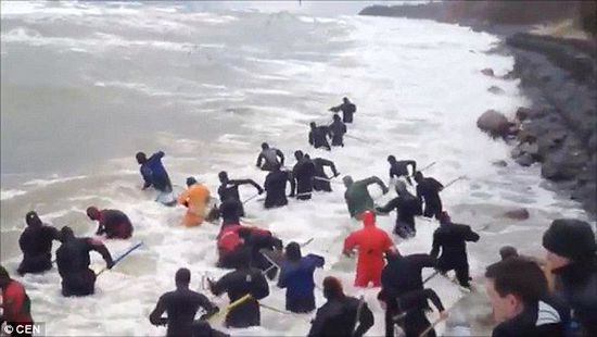 一場暴雨后，俄羅斯加里寧格勒Pionersky鎮(zhèn)，數(shù)十人潛入海水中搜尋琥珀。