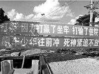 海南“勸架標語”走紅