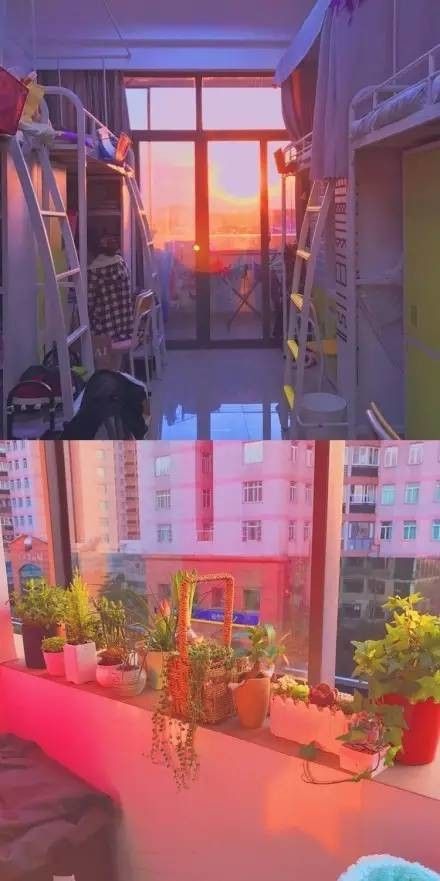 這個(gè)學(xué)校的男生宿舍火了！女同學(xué)都喊著要嫁