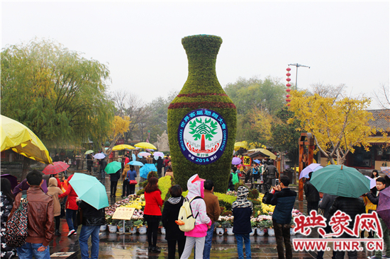 天好、花美 中國開封第32屆菊花文化節(jié)延長一周