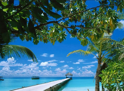 國(guó)內(nèi)適合冬游的目的地 陽(yáng)光雪景各取所需 國(guó)內(nèi)適合冬游的目的地 陽(yáng)光雪景各取所需