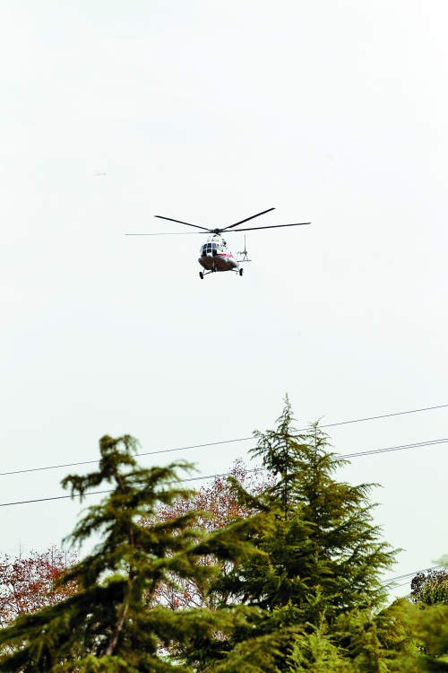輕拋一點入云去，利眼“鐵鷹”掠地來