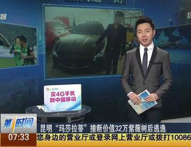 昆明“瑪莎拉蒂”撞斷價(jià)值32萬(wàn)紫薇樹后逃逸