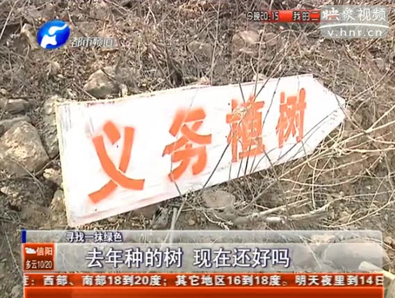 去年種的樹 現(xiàn)在還好嗎？