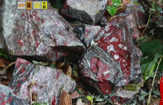 驚！神農(nóng)架無人區(qū)現(xiàn)神秘玉石
