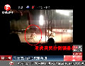 實拍墨西哥馬戲團(tuán)老虎表演中咬死馴獸師